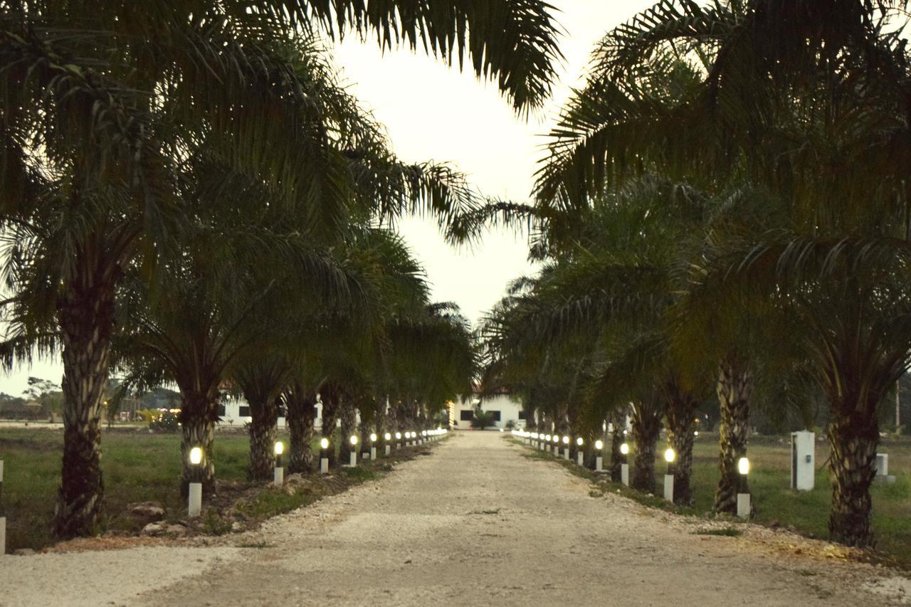 Real Primaveras Campestre Escárcega エクステリア 写真