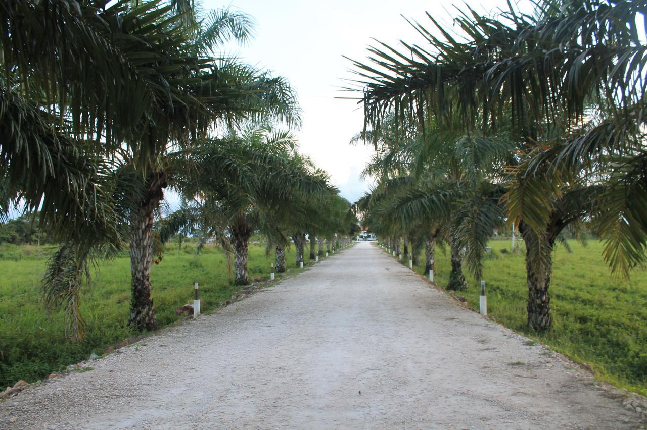 Real Primaveras Campestre Escárcega エクステリア 写真