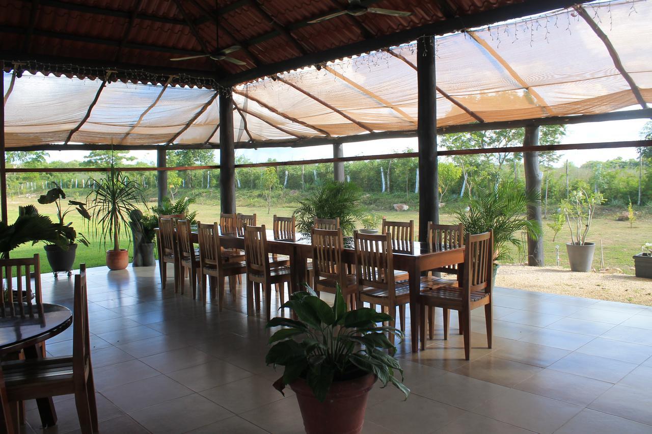 Real Primaveras Campestre Escárcega エクステリア 写真